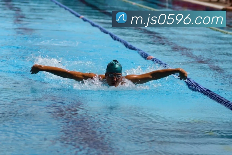 App Interface Preview